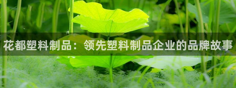 太阳sun网站