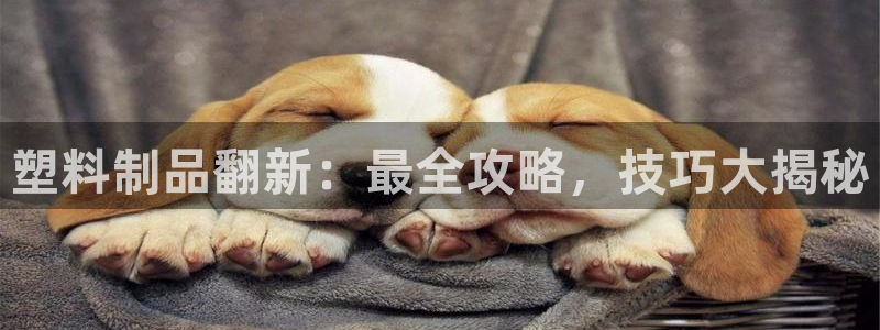 太阳集团电子游戏大全