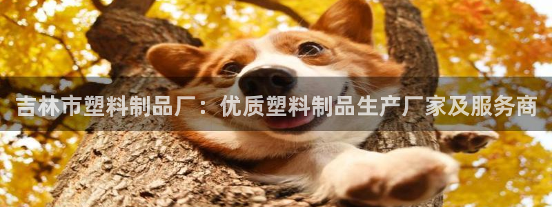 太阳成集团app