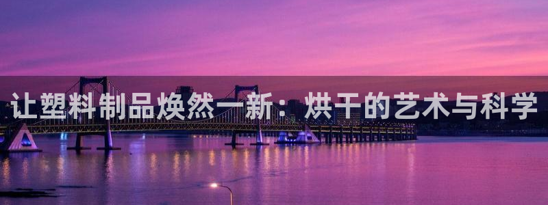 太阳董事长