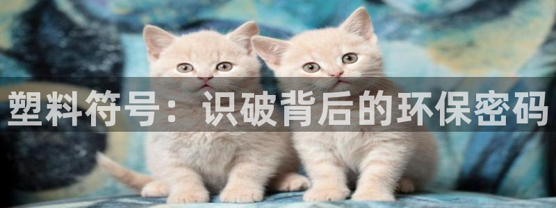 太阳集团游戏城旧版2.1.9