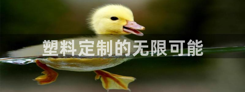 太阳集团董事长的儿子照片