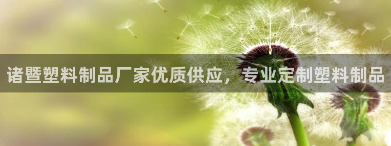 太阳控股集团有限公司董事长