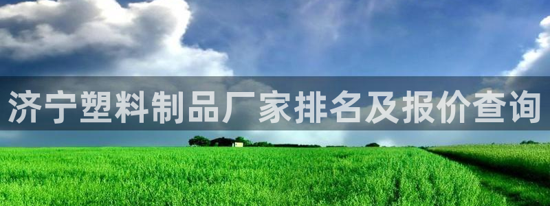 太阳集团股份有限公司是国企吗