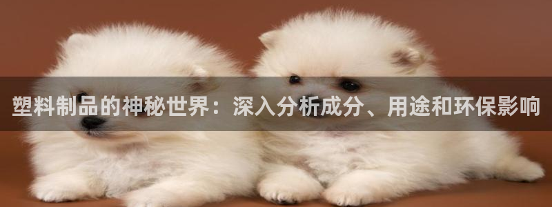 太阳集团城网址娱网
