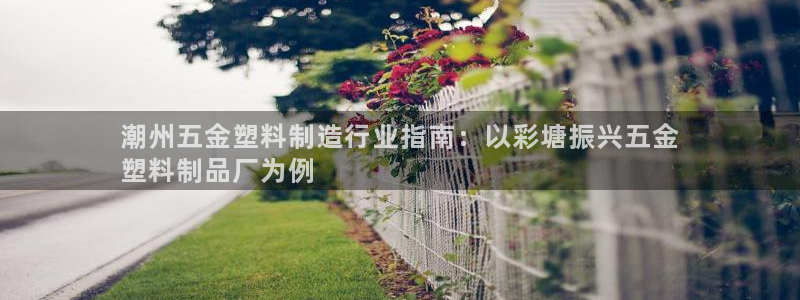 太阳控股集团有限公司董事长