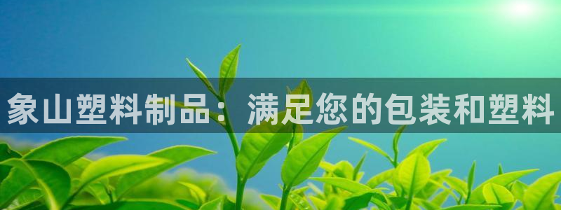 江苏太阳集团冷青松