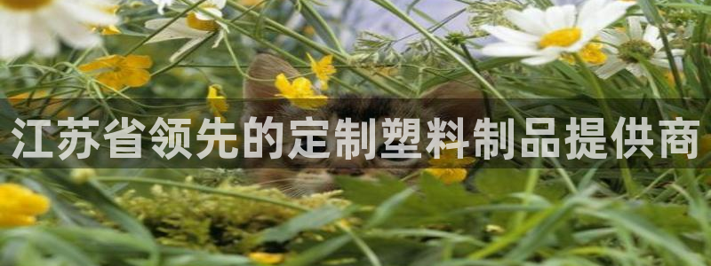 太阳集团网站入口