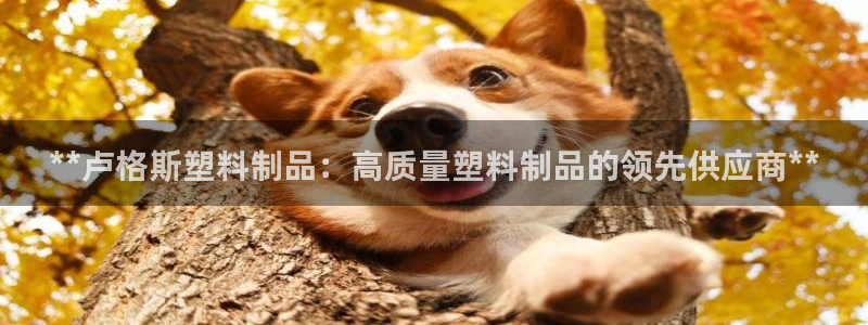太阳集团78566备用网址