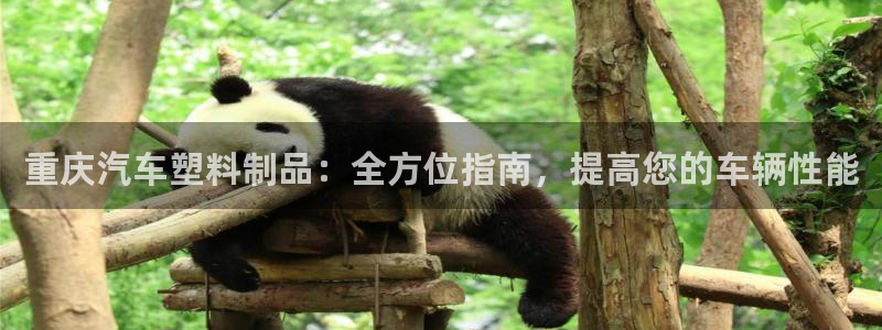 太阳成集团视频