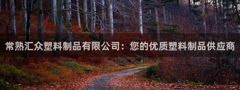 太阳集团的股价是多少