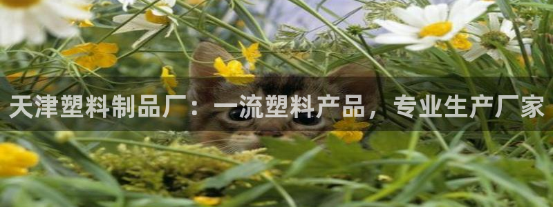 1593太阳集团城所有网址：天津塑料制品厂：一流塑料产品，专