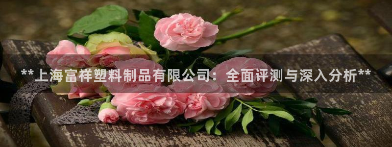 太阳集团股份有限公司招聘：**上海富祥塑料制品有限公司：全面