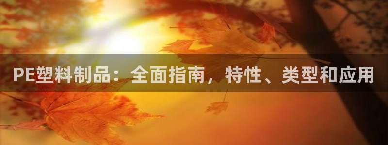 太阳集团78566备用网址：PE塑料制品：全面指南，特性、类