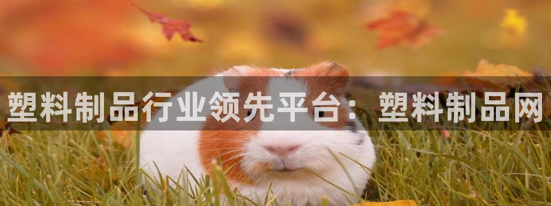 太阳集团游戏城旧版2.1.9：塑料制品行业领先平台：塑料制品