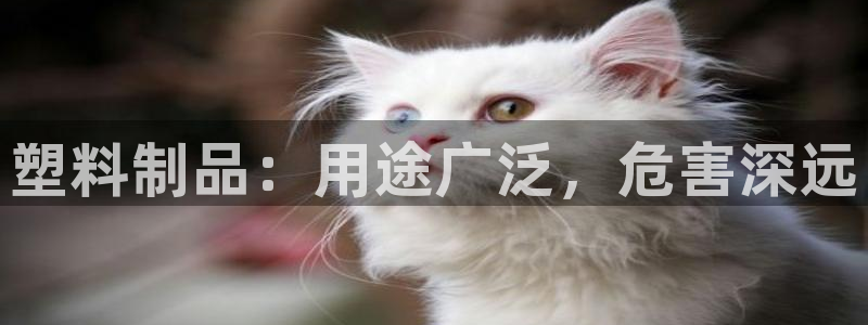 太阳集团控股有限公司官网香港：塑料制品：用途广泛，危害深远