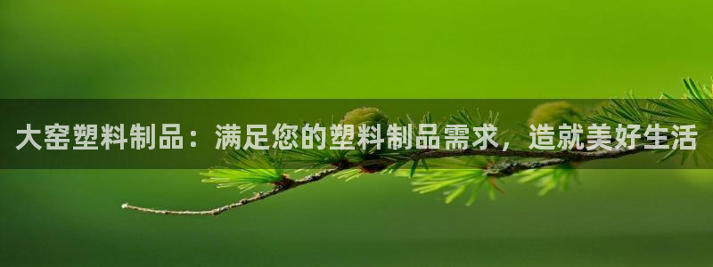 太阳成集团网站5：大窑塑料制品：满足您的塑料制品需求，造就美