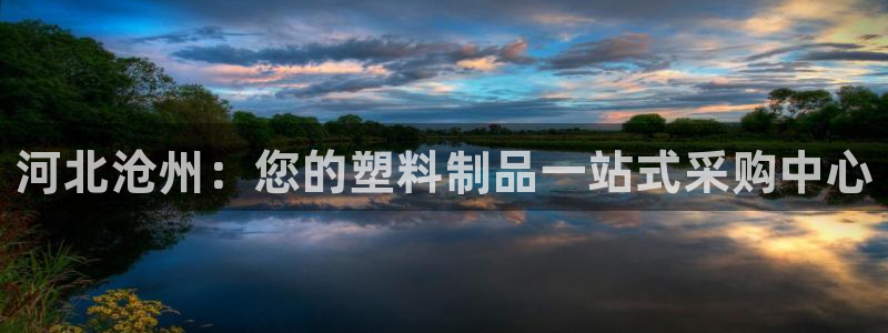 太阳成集团老板照片：河北沧州：您的塑料制品一站式采购中心