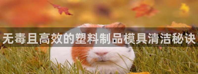 太阳成集团网址 app：无毒且高效的塑料制品模具清洁秘诀