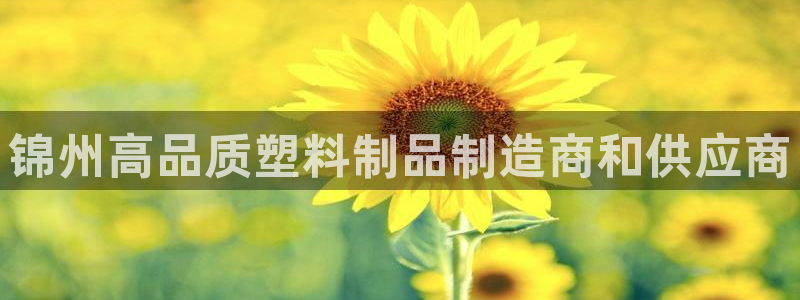 太阳成集团老板是谁：锦州高品质塑料制品制造商和供应商