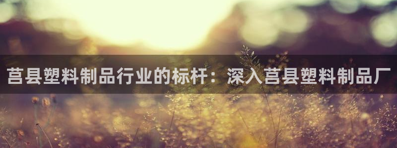 太阳成下载：莒县塑料制品行业的标杆：深入莒县塑料制品厂