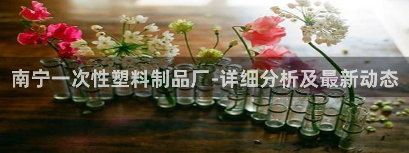 太阳集团网站入口：南宁一次性塑料制品厂-详细分析及最新动态