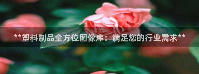 太阳集团是怎样一个公司：**塑料制品全方位图像库：满足您的行