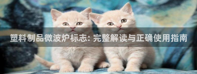 太阳老板身价：塑料制品微波炉标志: 完整解读与正确使用指南