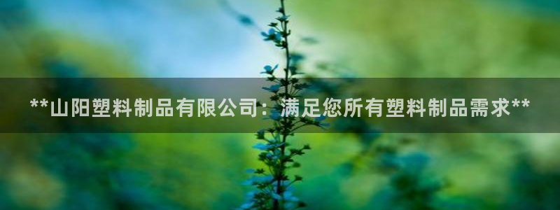 太阳游戏视频：**山阳塑料制品有限公司：满足您所有塑料制品需