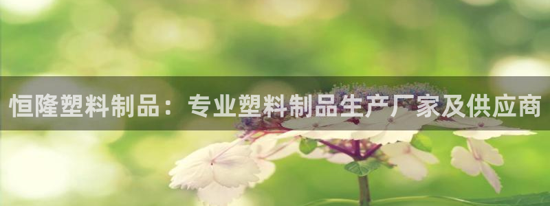 太阳集团下载链接怎么下载：恒隆塑料制品：专业塑料制品生产厂家