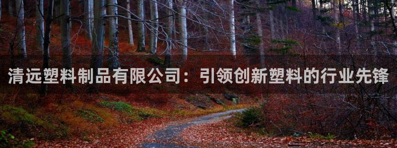 太阳成集团com：清远塑料制品有限公司：引领创新塑料的行业先