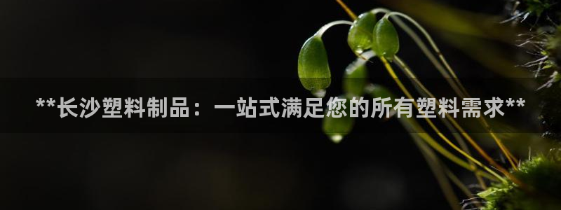太阳诚集团有限公司是国企吗：**长沙塑料制品：一站式满足您的