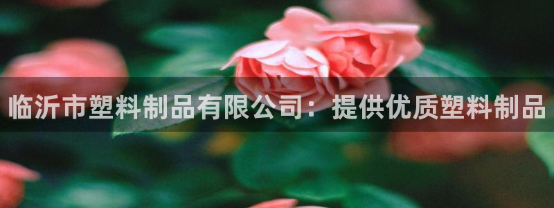 太阳集团备用网址