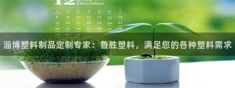 太阳成集团tyc33455cc平台：淄博塑料制品定制专家：鲁