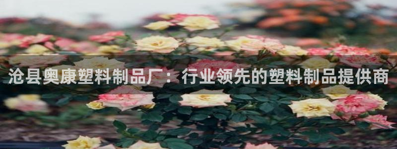 太阳集团电子游戏不朽的浪漫视频