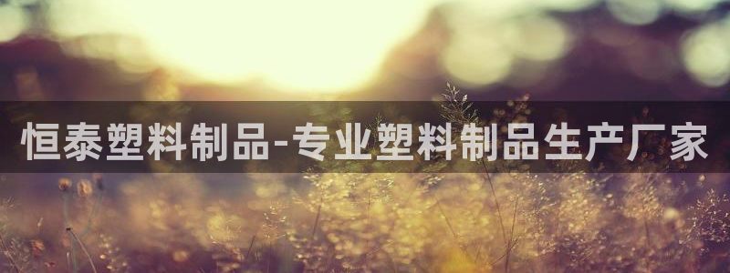 太阳董事长：恒泰塑料制品-专业塑料制品生产厂家