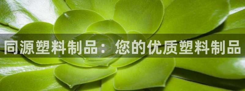 44118太阳成城集团：同源塑料制品：您的优质塑料制品