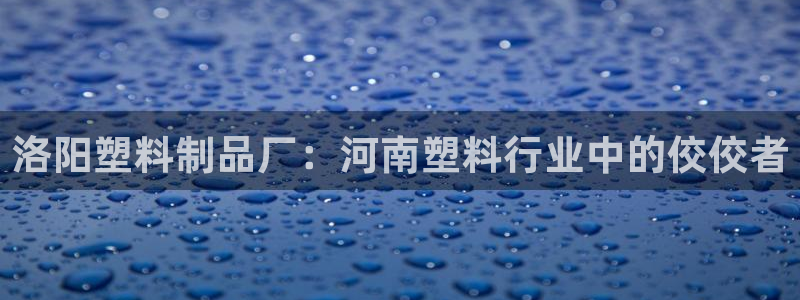 太阳成集团游戏合集：洛阳塑料制品厂：河南塑料行业中的佼佼者