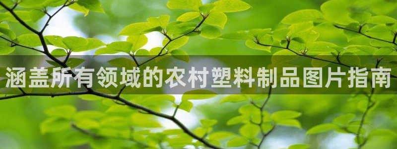 太阳集团怎么样：涵盖所有领域的农村塑料制品图片指南