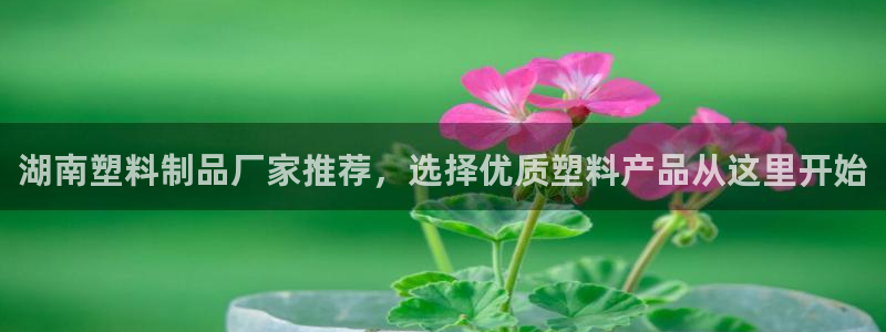 太阳成集团古天乐：湖南塑料制品厂家推荐，选择优质塑料产品从这