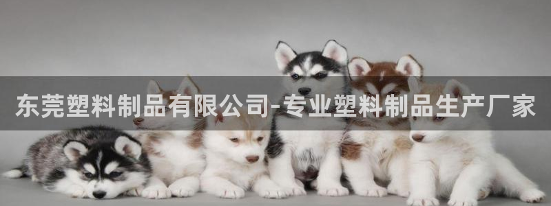 太阳集团网站5017：东莞塑料制品有限公司-专业塑料制品生产