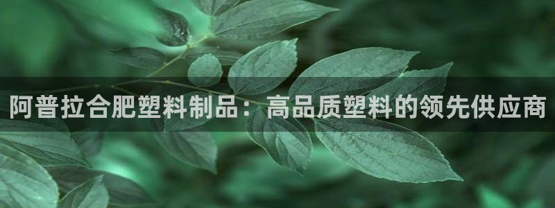 太阳成集团tyc234cc：阿普拉合肥塑料制品：高品质塑料的