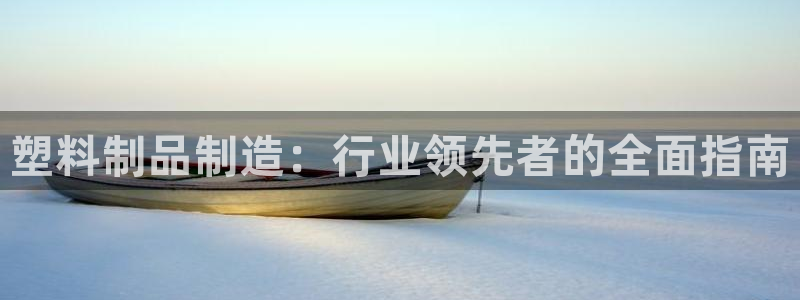 太阳成集团控股买购网：塑料制品制造：行业领先者的全面指南